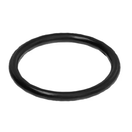 Schwarzer O-Ring von Roth, kreisförmig, mit glatter Oberfläche und einheitlichem Durchmesser. Eignet sich für verschiedene Dichtungsanwendungen.